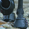 Hoof Wear specialiste du sabot de cheval -  