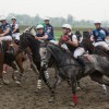 horse-ball-belgium