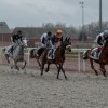 Fédération Belge des Courses Hippiques 