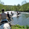 association-wallonne-de-tourisme-equestre-asbl