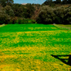 green-gates-resort-for-horses-espagne