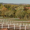 green-gates-resort-for-horses-espagne