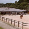 pole-equestre-de-biarritz - Hotel pour chevaux