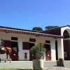 pole-equestre-de-biarritz - Hotel pour chevaux