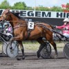 Ter Dieschoot" is een gynaecologisch begeleidingscentrum voor paarden- Centre de gynécologie pour chevaux