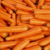 de-keuster-hoeilaart - Carottes pour chevaux