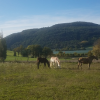 les-ecuries-des-rives-de-la-tour