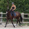 Logerot Stephanie - monitrice d equitation