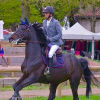 MVM Equitation