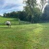 Haras de la Hussière - Lasne 