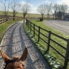 Haras de la Hussière - Lasne 