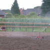 Nuyts - Antwerpen - Photo Equihorse