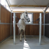 Paardenboxen Herman - Photos Equihorse