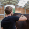 Lorant Jolan Kinesitherapie osteopathie equine - Photos Equihorse