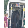 Le cheval a terre- conseils veterinaires - Photo Equihorse