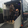 Transport chevaux Vincent Van Loo
