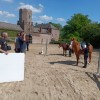 equi-tv  - Ligue equestre wallonie Bruxelles