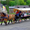 Attelage  Ardennais