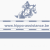Hippo Assistance