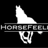 Horsefeeling