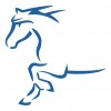 Boutique Parage et Podologie Equine Boutique Parage et Podologie Equine
