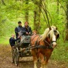 Attelage de Willerzie