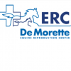 ERC DE MORETTE