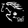 Cheval Intuition asbl