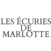 Les Ecuries  de Marlotte - (Fontainebleau)