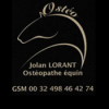 Lorant Jolan